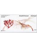 n° C952 - Timbre GROENLAND Carnets