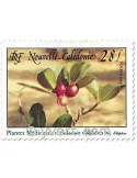n° 556 -  Timbre Nelle-Calédonie Poste