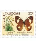 n° 590 -  Timbre Nelle-Calédonie Poste