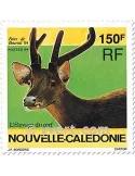 n° 664 -  Timbre Nelle-Calédonie Poste