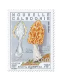 n° 749/751 -  Timbre Nelle-Calédonie Poste