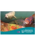 n° C2933 - Timbre ILE DE MAN Carnets