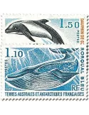 n° 64/65 -  Timbre TAAF Poste
