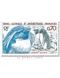 n° 105/106 -  Timbre TAAF Poste
