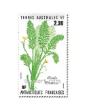 n° 118/119 -  Timbre TAAF Poste