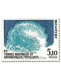 n° 144/145 -  Timbre TAAF Poste