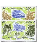 n° 528/529 -  Timbre TAAF Poste