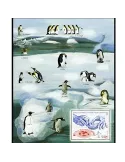 n° F682 - Timbre TAAF Poste
