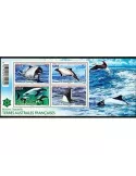 n° F710 - Timbre TAAF Poste