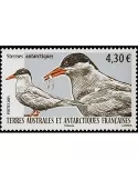 n° 725 - Timbre TAAF Poste