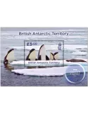 n° 31 - Timbre ANTARCTIQUE BRITANNIQUE Blocs et feuillets