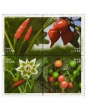n° 3457 - Timbre BRESIL Poste