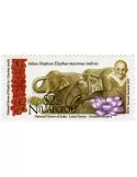 n° 404 - Timbre NIUAFO´OU Poste
