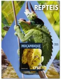 n° 1056  : Timbre MOZAMBIQUE Blocs et feuillets