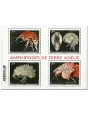 n° F807 - Timbre TAAF Poste