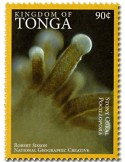 n° 1468A - Timbre TONGA Poste