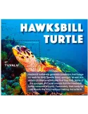 n° 324 - Timbre TUVALU Blocs et feuillets