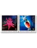 n° 244/247 - Timbre TERRITOIRE ANTARCTIQUE AUSTRALIEN Poste