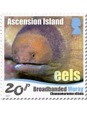 n° 1175/1180 - Timbre ASCENSION Poste