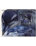n° F858 - Timbre TAAF Poste
