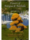 n° 777 - Timbre ANTIGUA Blocs et feuillets