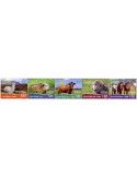 n° 2797/2801 - Timbre EQUATEUR Poste