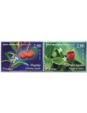 n° 482/483 - Timbre HERCEG-BOSNA Poste