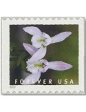 n° 5292a/5301a - Timbre ETATS-UNIS D´AMERIQUE Poste