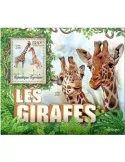 n° 1543 - Timbre TOGO Blocs et feuillets