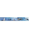 n° 811/815 - Timbre OMAN Poste