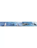 n° 811/815 - Timbre OMAN Poste