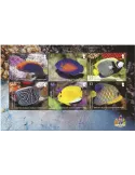 n° 46 - Timbre OCEAN INDIEN Blocs et feuillets
