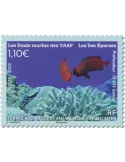 n° 1005 - Timbre TAAF Poste