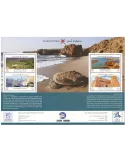 n° 96A - Timbre OMAN Blocs et feuillets