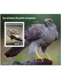n° 1649  - Timbre CENTRAFRIQUE Blocs et feuillets