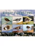 n° 2479/2484 - Timbre TUVALU Poste