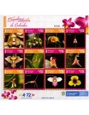 n° 2550/2561 - Timbre COLOMBIE Poste