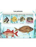 n° 3999/4002  - Timbre TCHAD Poste