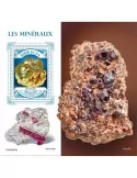 n° 2040 - Timbre CENTRAFRIQUE Blocs et feuillets