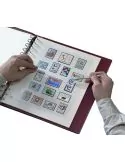 FRANCE SAFE DUAL SANS PLAQUETTE : 2023 (2e SEMESTRE) - SAFE®