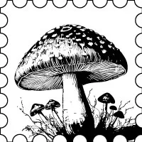 CHAMPIGNONS