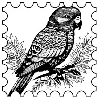 PERRUCHE ET PERROQUET