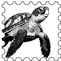 TORTUES